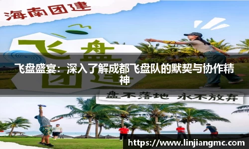 飞盘盛宴：深入了解成都飞盘队的默契与协作精神